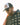 AAA Trucker Hat